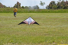 Venice kite festival_0116